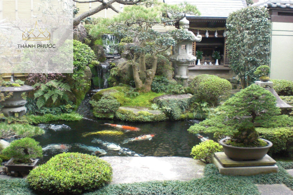 Hồ nước - Tiểu cảnh sân vườn kiểu Nhật
