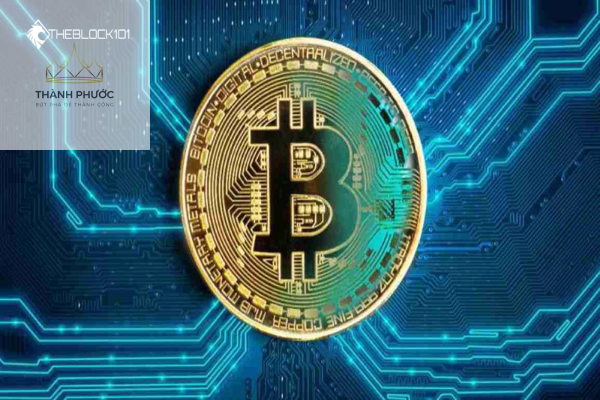 Sàn giao dịch Bitcoin là gì?